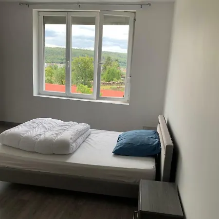 Guest house Miami Vince Vireux-Wallerand